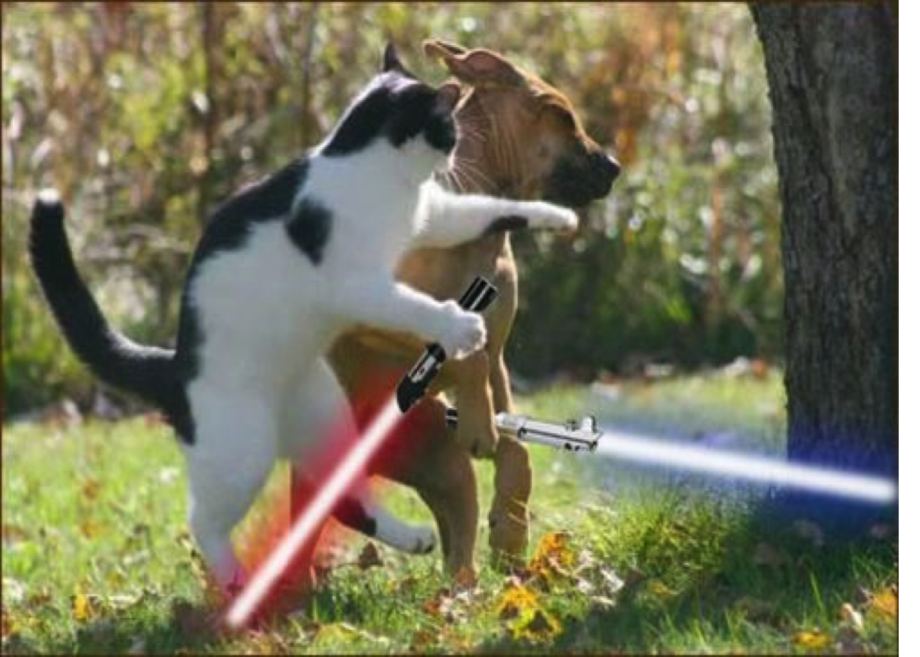 We better get in there! Things aren't looking good.