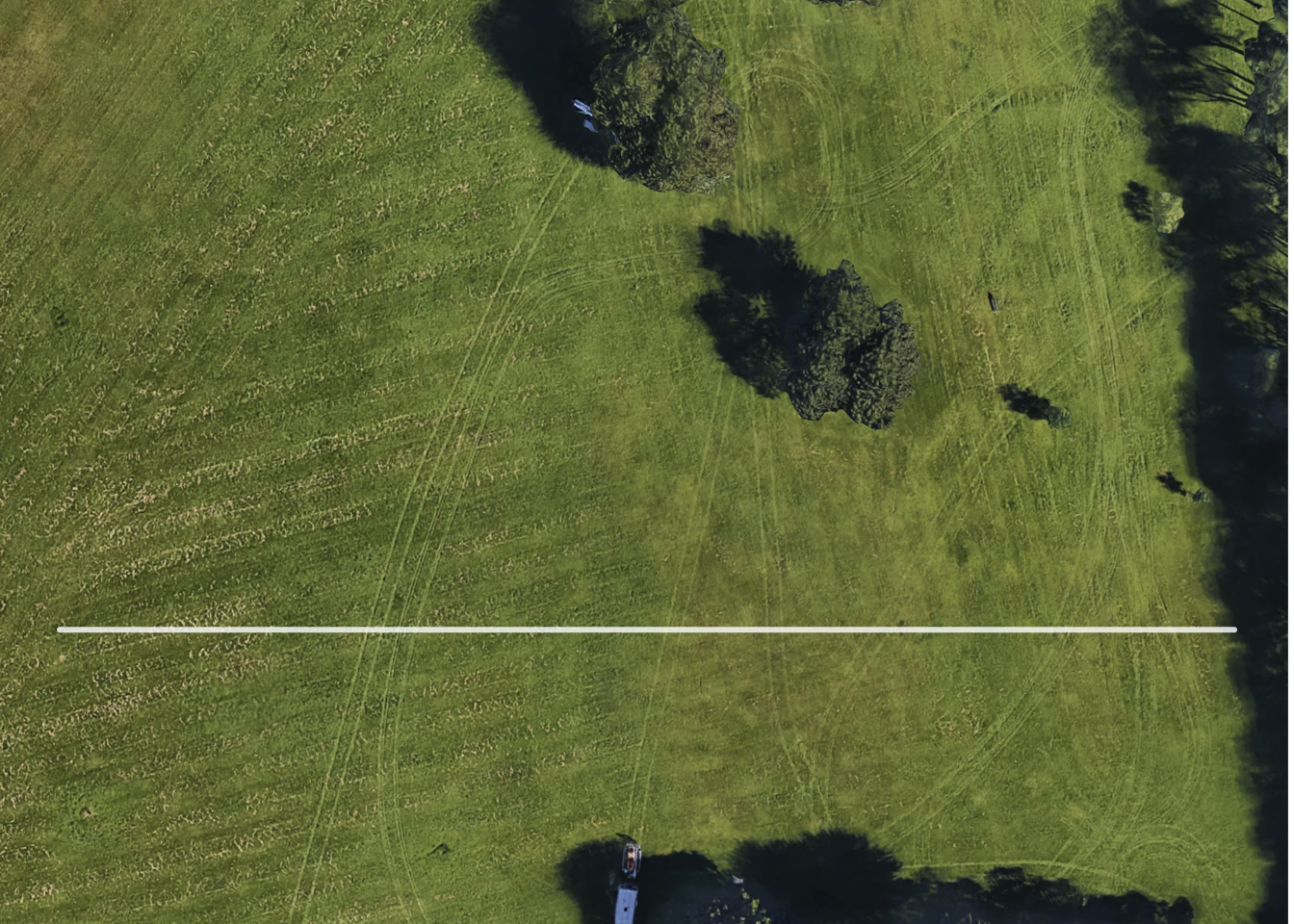 My transect through the army of critters.