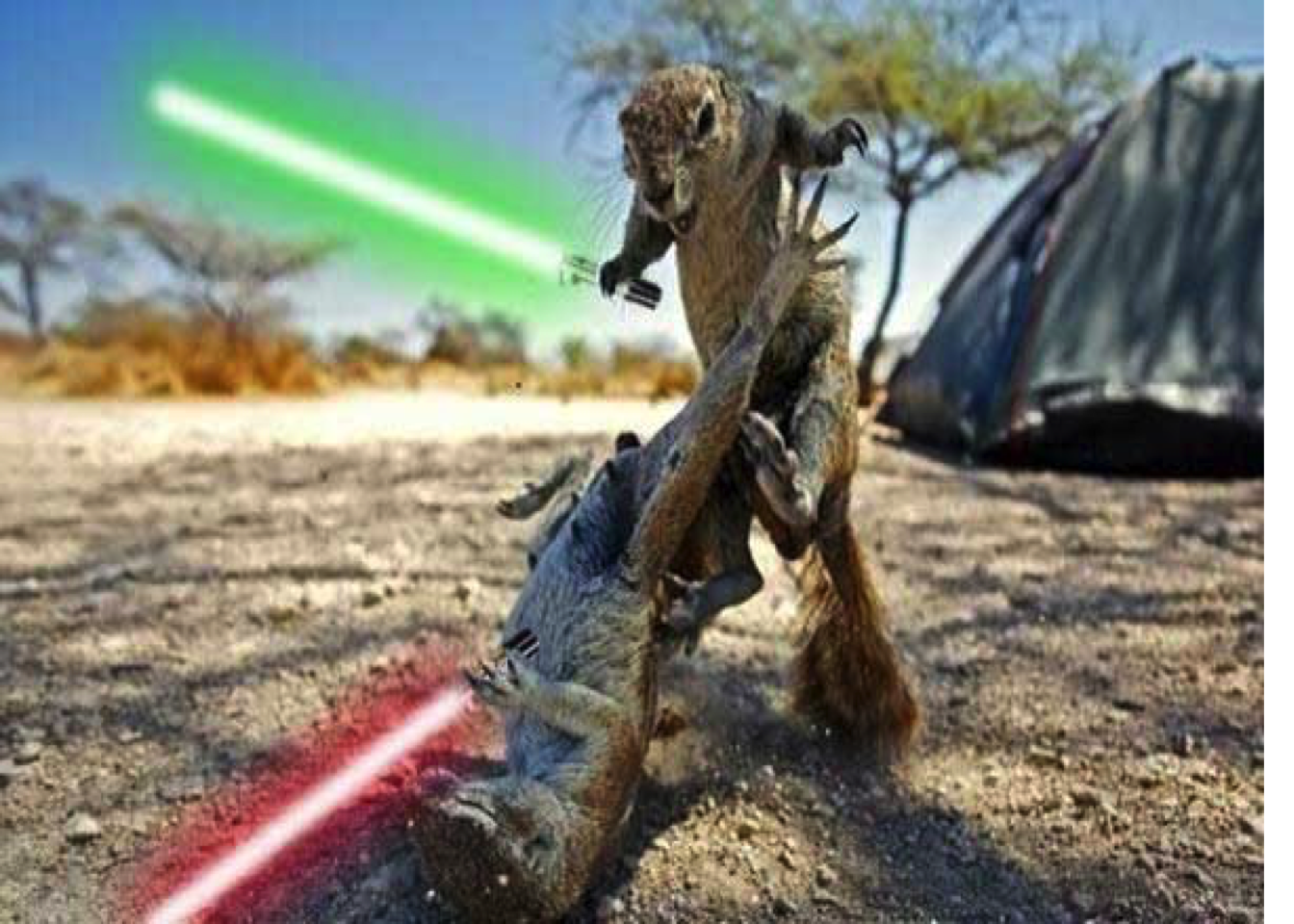 squirrels with lightsabers