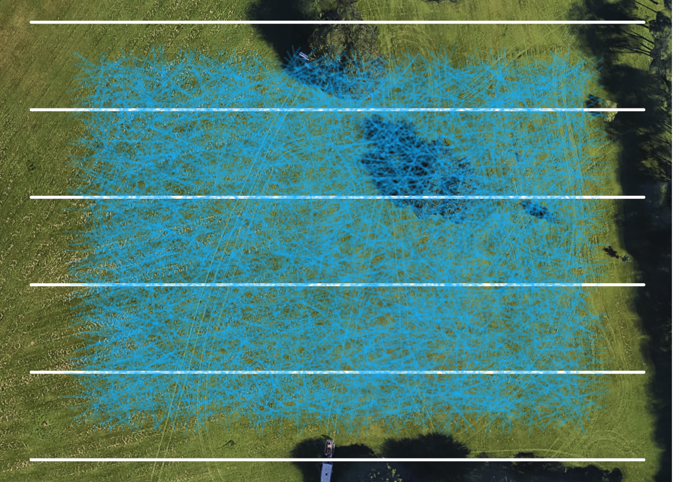 The battle is on. We charge across the battlefield and hit every critter saber along our transect.