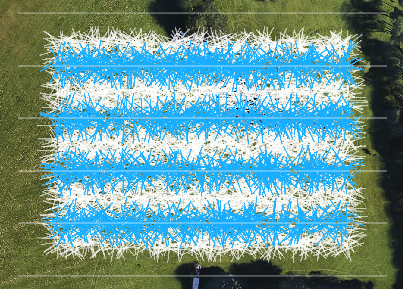 All the lightsabers we struck on our transects.